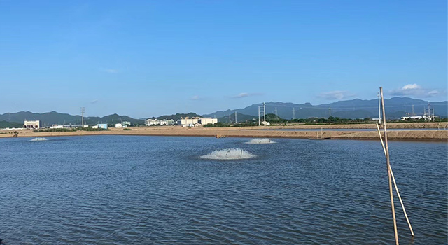 ウナギ養殖・加工現場の様子子